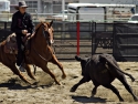 CadenGrisdaleCHSRA2016boyscuttingRodeo