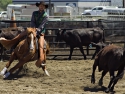 CarsonParkerCHSRA2016boyscuttingRodeo8thPlace