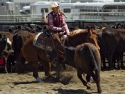 HaileyWilburCHSRA2016girlscuttingRodeo