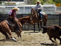 HaileyWilburCHSRA2016girlscuttingRodeo25thPlace