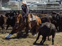 LeftyHolmanCHSRA2016boyscuttingRodeo5thPlace