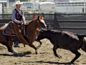 PaysonHolmanCHSRA2016boyscuttingRodeo