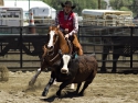 RileyBishopCHSRA2016boyscuttingRodeo2ndPlace