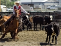 TwysterHurleyCHSRA2016boyscuttingRodeo