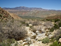 Cougar Canyon Anza Borrego Desert