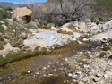 Cougar Canyon stream Anza Borrego