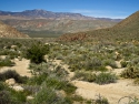 Path to Cougar Canyon Anza Borrego