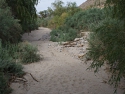 Lower Willows Trail Anza Borrego State Park